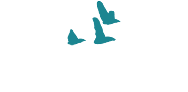 yogapuertadelangel.com